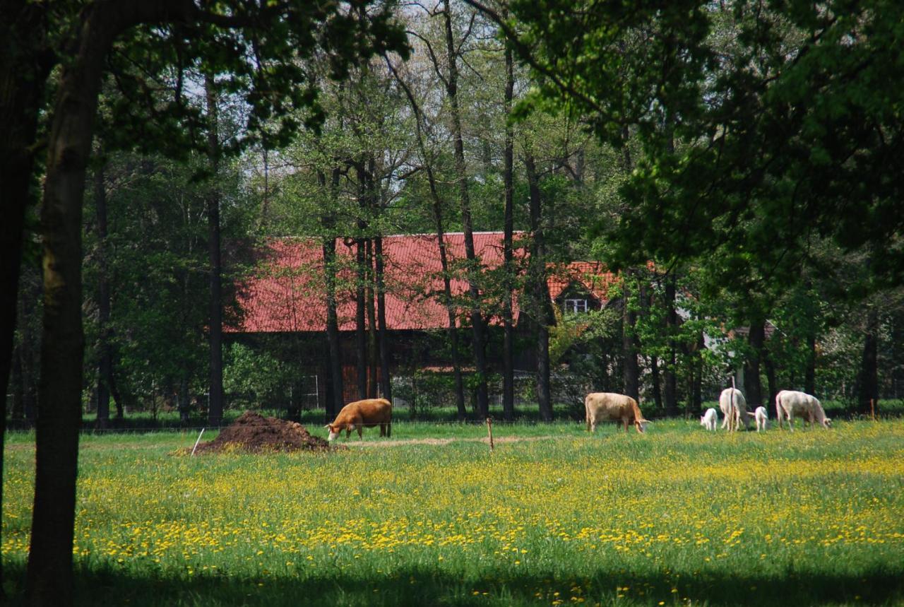 Ferienwohnung Lehmann, Ursel Burg Kauper 外观 照片